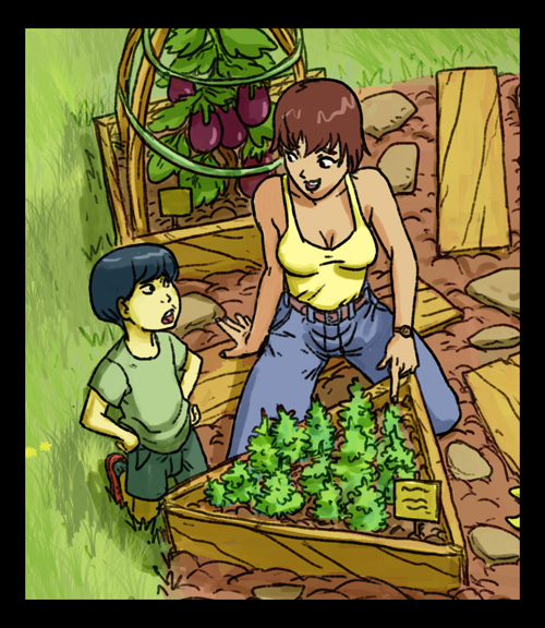 http://alcino.segusa.free.fr/blog/jardinspaysagersblog2.jpg